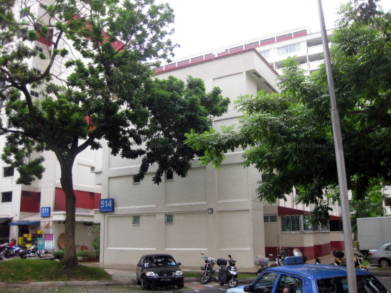 Blk 514 Hougang Avenue 10 (Hougang), HDB 4 Rooms #245702